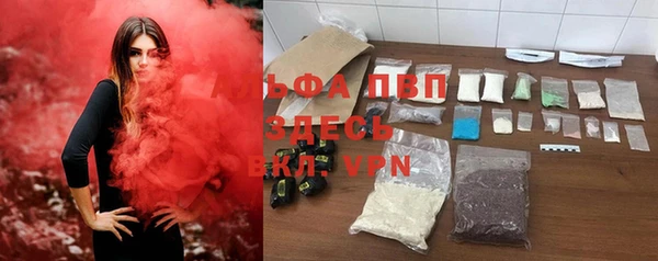 mdpv Белокуриха