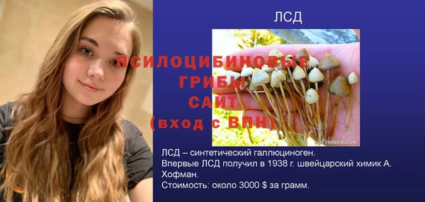 mdpv Белокуриха