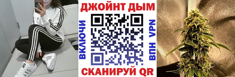 закладки  Новотитаровская  hydra ссылка  Конопля индика 